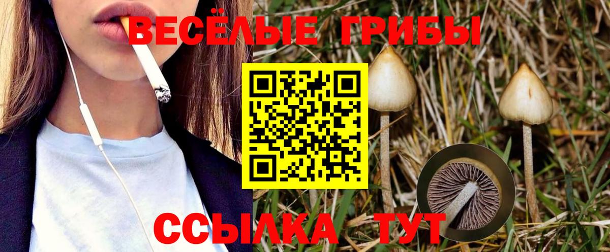 Псилоцибиновые грибы GOLDEN TEACHER Воскресенск