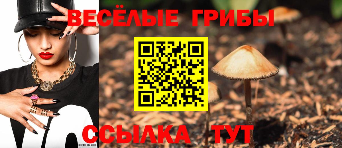 Галлюциногенные грибы мицелий  Вход с VPN  Воскресенск 